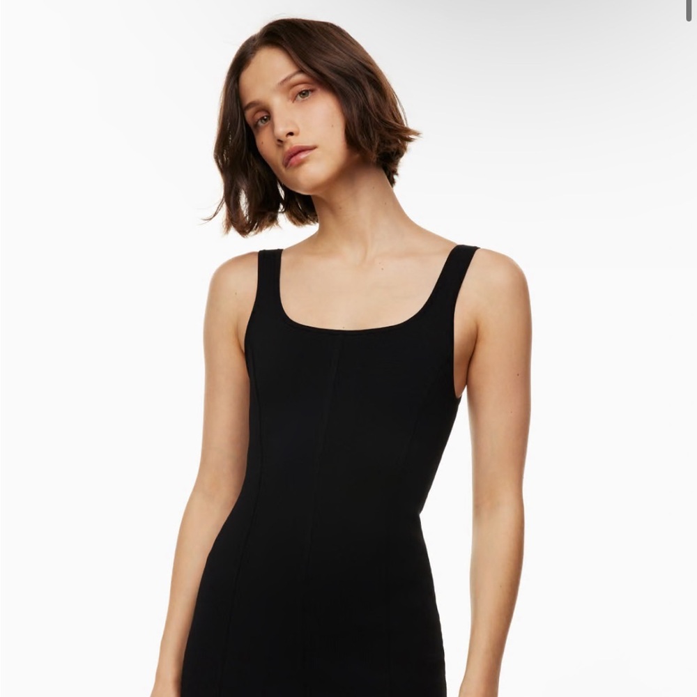 Aritzia Dress